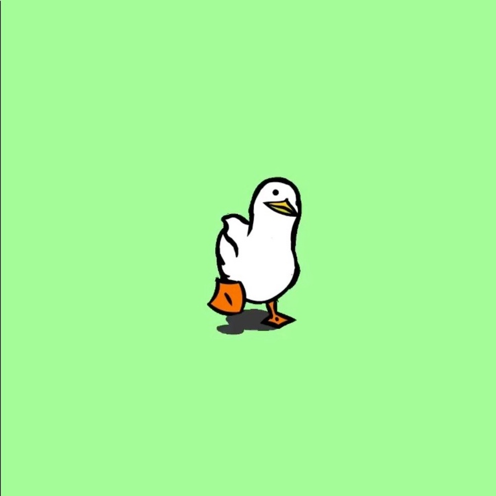 Meet your Posher, Jaci